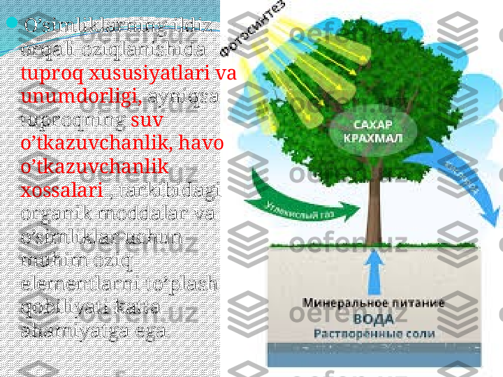 
O’simliklarning ildiz 
orqali oziqlanishida 
tuproq xususiyatlari va 
unumdorligi,  ayniqsa 
tuproqning  suv 
o’tkazuvchanlik, havo 
o’tkazuvchanlik 
xossalari  , tarkibidagi 
organik moddalar va 
o’simliklar uchun 
muhim oziq 
elementlarni to’plash 
qobiliyati katta 
ahamiyatga ega.  