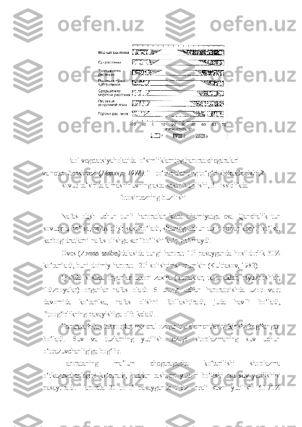 Nafas   olish   uchun   tunli   haroratlar   katta   a h amiyatga   esa.   Qanchalik   tun
sovuqroq bo‘lsa, nafas olish sust bo‘ladi, shuning uchun tunli nurlar kuchli bo‘lsa,
karbogidratlarni nafas olishga sarf bo‘lishi ko‘p bo‘lmaydi. 
Oves   ( Avena   sativa) dalasida   tungi   harorat   10 0
  pasayganda   hosildorlik   30%
ko‘tariladi, buni doimiy harorat +20 0
 solishtirish mumkin (Kultiasov, 1982). 
Qishda   boshqa   organlar   qatori   zaxira   (kurtaklar,   tuganaklar,   piyozboshlar,
ildizpoyalar)   organlar   nafas   oladi.   SHuning   uchun   haroratqishda   uzoq   vaqt
davomida   ko‘tarilsa,   nafas   olishni   faollashtiradi,   juda   havfli   bo‘ladi,
fitoog‘irlikning pasayishiga olib keladi.
Harorata bilan tupro q dan mineral ozi q aning elementlarini kirishi bo g‘ langan
b o‘ ladi.   Suv   va   tuzlarning   yutilish   tezligi   sitoplazmaning   suv   uchun
o‘ t q azuvchanligiga bo g‘ li q .
Harorataning   ma’lum   chegaragacha   k o‘ tarilishi   sitoplazma
o‘ tkazuvchanligini   k o‘ taradi,   h addan   tash q ari   yu q ori   b o‘ lishi   esa   suv   yutilishini
pasaytiradi.   Harorata+20   to   0 0
  pasayganda   ildiz   or q ali   suvni   yu tilishi   60-70%Faol vegetatsiya h olatida   o‘ simliklarning harorat chegaralari
va netto-fotosintezi  ( JIapxep, 1978): 1 - t o‘q imalarning t o‘g‘ ri shikastlanishi, 2
- sovu q  ta’sirida almashinuvning asta - sekin buzilishi, 3 - issi q likda
fotosintezning buzilishi 