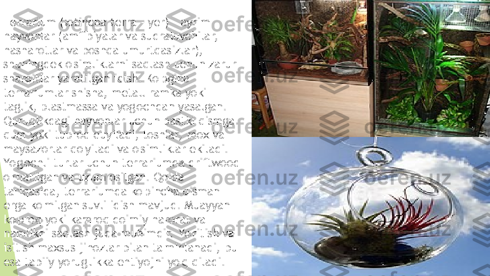 Te rrarium (lotincha terra - yer) - ayrim 
hayvonlar (amfibiyalar va sudraluvchilar,  
hasharotlar va boshqa umurtqasizlar), 
shuningdek o'simliklarni saqlash uchun zarur 
sharoitlar yaratilgan idish. Ko'pgina 
terrariumlar shisha, metall ramka yoki 
taglik, plastmassa va yog'ochdan yasalgan. 
Quruqlikdagi hayvonlar uchun pastki qismga 
qum yoki tuproq quyiladi, toshlar,  mox va 
maysazorlar qo'yiladi va o'simliklar ekiladi. 
Yo g'ochli turlar uchun terrariumda driftwood 
o'rnatilgan va uzum osilgan. Qoida 
tariqasida, terrariumda ko'pincha qisman 
erga ko'milgan suvli idish mavjud. Muayyan 
ko'proq yoki kamroq doimiy harorat va 
namlikni saqlash juda muhimdir.  Yo ritish va 
isitish maxsus jihozlar bilan ta'minlanadi, bu 
esa tabiiy yorug'likka ehtiyojni yo'q qiladi.         