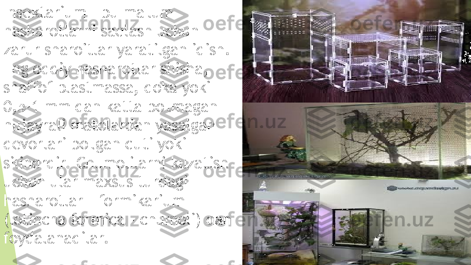 Insektarium - bu ma'lum 
hasharotlarni saqlash uchun 
zarur sharoitlar yaratilgan idish.
Eng oddiy hasharotlar shisha, 
shaffof plastmassa, doka yoki 
0,5-1 mm dan katta bo'lmagan 
hujayrali matolardan yasalgan 
devorlari bo'lgan quti yoki 
silindrdir.  Chumolilarni kuzatish 
uchun ular maxsus turdagi 
hasharotlar - formikarium 
(lotincha formica - chumoli) dan 
foydalanadilar.         