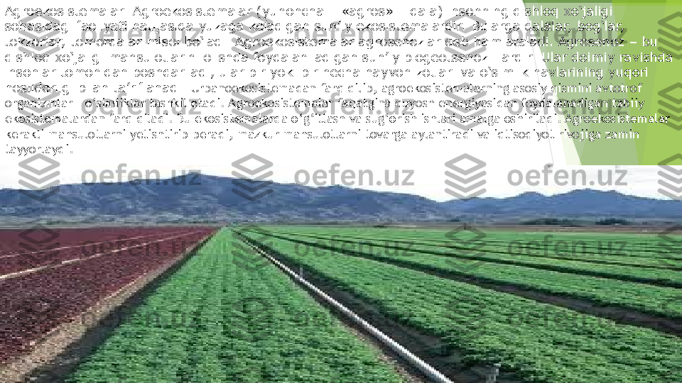 Agroekosistemalar.  Agroekosistemalar (yunoncha – «agros» – dala) insonning qishloq xo‘jaligi 
sohasidagi faoliyati natijasida yuzaga keladigan sun’iy ekosistemalardir.  Bularga dalalar,  bog‘lar,  
tokzorlar,  tomorqalar misol bo‘ladi. Agroekosistemalar agrosenozlar deb ham ataladi. Agrosenoz – bu 
qishloq xo‘jaligi mahsulotlarini olishda foydalaniladigan sun’iy biogeotsenoz- lardir.  Ular doimiy ravishda 
insonlar tomonidan boshqariladi, ular bir yoki bir necha hayvon zotlari va o‘simlik navlarining yuqori 
hosildorligi bilan ta’riflanadi.  Urbanoekosistemadan farq qilib, agroekosistemalarning asosiy qismini avtotrof 
organizmlar – o‘simliklar tashkil etadi. Agroekosistemalar faqatgina quyosh energiyasidan foydalanadigan tabiiy 
ekosistemalardan farq qiladi. Bu ekosistemalarda o‘g‘itlash va sug‘orish ishlari amalga oshiriladi. Agroekosistemalar 
kerakli mahsulotlarni yetishtirib beradi, mazkur mahsulotlarni tovarga aylantiradi va iqtisodiyot rivojiga zamin 
tayyorlaydi.         