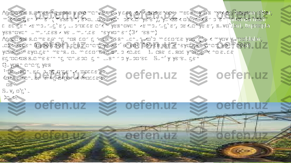 Agroekosistemaning asosiy elementlari quyidagilar hisoblanadi: madaniy o‘simliklar,  begona o‘tlar,  
mikroorganizmlar (masalan, azot to‘plovchi bakteriyalar), yuksak o‘simliklar bilan mikoriza hosil 
qiladigan zamburug‘lar,  tuproqda erkin yashovchi zamburug‘lar,  bakteriyalar,  suvo‘tlari, tuproqda 
yashovchi umurtqasiz va umurtqali hayvonlar (34-rasm).
Agroekosistemalarning hosildorligini oshirish uchun ko‘p miqdorda yoqilg‘i, kimyoviy moddalar,  
texnikadan foydalanish uchun energiya sarflanadi. Ba’zan sarflanayotgan energiya miqdori 
yetishtirilayotgan mahsulot miqdoridan ortib ketadi. Bu esa iqtisodiy tanglik holatida 
agroekosistemalarning rentabelligini tushirib yuboradi. Sun’iy yaratilgan
Quyosh energiyasi
Produtsentlar- ning organik moddalari
Konsumentlar- ning organik moddalari
Hosil
Suv, o‘g‘it
Detrit         