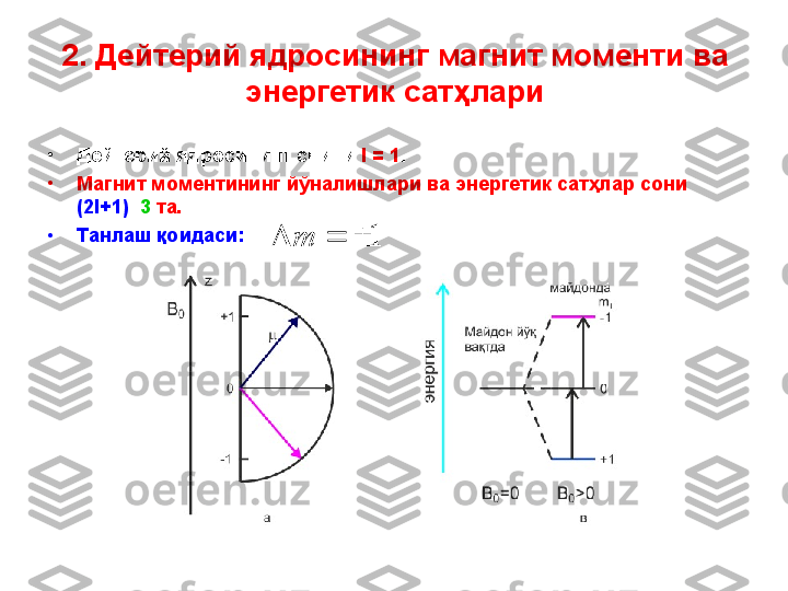 2 .  Дейтерий ядросининг  магнит моменти ва 
энергетик сат ҳлари
•
Дейтерий ядросининг спини  I = 1 .  
•
Магнит моментининг й ўналишлари ва энергетик сатҳлар сони 
( 2I+1 )    3  та .  
•
Танлаш  қоидаси:   1				m 