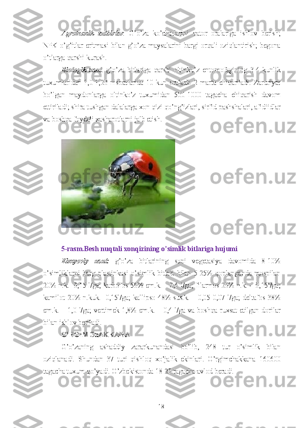 Agrotexnik   tadbirlar .   G’o’za   ko’chatlarini   qator   oralariga   ishlov   berish;
NPK o’g’itlar  eritmasi  bilan  g’o’za maysalarini  bargi  orqali  oziqlantirish;  begona
o’tlarga qarshi kurash.  
Biologik   usul :   g’o’za   bitlariga   qarshi   oltinko’z   entomofagining   3-4   kunlik
tuxumlaridan   1,0-1,20   nisbatlarida   10   kun   oralatib   2   marta   chiqariladi.   Zaruriyat
bo’lgan   maydonlarga   oltinko’z   tuxumidan   500-1000   tagacha   chiqarish   davom
ettiriladi; shira tushgan dalalarga xon qizi qo’ng’izlari, sirfid pashshalari, afidiidlar
va boshqa foydali xasharotlarni jalb etish. 
 
 
 
5-rasm.Besh nuqtali xonqizining o’simlik bitlariga hujumi 
Kimyoviy   usul:   g’o’za   bitlarining   soni   vegetasiya   davomida   8-10%
o’simliklarni   barg   plastinkasi   o’simlik   bitlari   bilan   5-25%   qoplanganda   mospilan
20% n.k. -0,15 l/ga; karbofos 50% em.k. – 0,6 l/ga; filarmos 20% n.k. – 0,15l/ga;
kamilot 20%  n.kuk.- 0,15l/ga; kallipso 48% sus.k. – 0,05-0,07 l/ga;  deltafos 38%
em.k. –  1,0 l/ga;   vertimek  1,8%  em.k.  – 0,4  l/ga  va  boshqa  ruxsat   etilgan dorilar
bilan ishlov beriladi. 
O’RGIMChAKKANA  
G’o’zaning   ashaddiy   zararkunandasi   bo’lib,   248   tur   o’simlik   bilan
oziqlanadi.   Shundan   37   turi   qishloq   xo’jalik   ekinlari.   O’rgimchakkana   160600
tagacha tuxum qo’yadi. O’zbekistonda 18-20 tagacha avlod beradi. 
18 