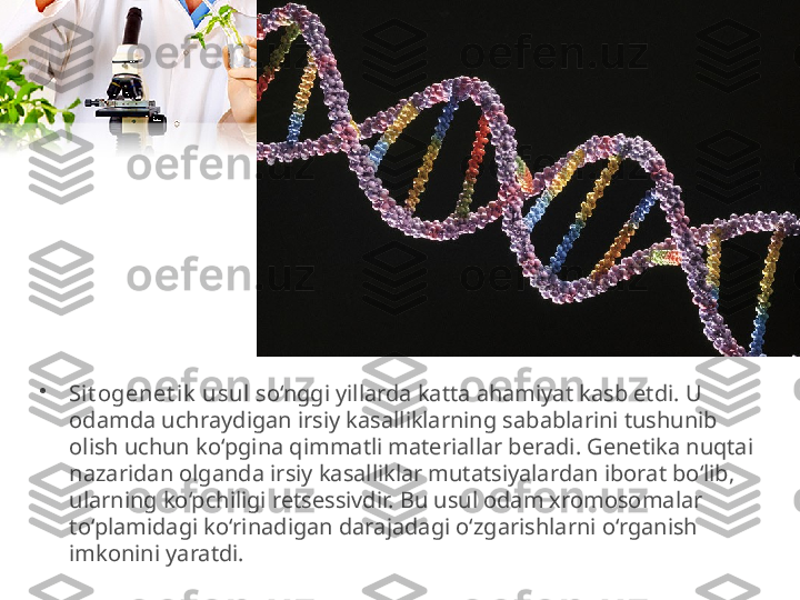 •
Sit ogenet ik  usul  so‘nggi yillarda katta ahamiyat kasb etdi. U 
odamda uchraydigan irsiy kasalliklarning sabablarini tushunib 
olish uchun ko‘pgina qimmatli materiallar beradi. Genetika nuqtai 
nazaridan olganda irsiy kasalliklar mutatsiyalardan iborat bo‘lib, 
ularning ko‘pchiligi retsessivdir. Bu usul odam xromosomalar 
to‘plamidagi ko‘rinadigan darajadagi o‘zgarishlarni o‘rganish 
imkonini yaratdi. 