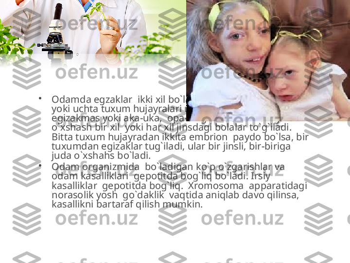 •
Odamda egzaklar  ikki xil bo`ladi.  Ayrim xollarda ikkita 
yoki uchta tuxum hujayralari urug`lanadi.  Bunda xuddi  
egizakmas yoki aka-uka,  opa-singillardek bir-biriga 
o`xshash bir xil  yoki har xil jinsdagi bolalar to`g`iladi.  
Bitta tuxum hujayradan ikkita embrion  paydo bo`lsa, bir 
tuxumdan egizaklar tug`iladi, ular bir jinsli, bir-biriga 
juda o`xshahs bo`ladi.
•
Odam organizmida  bo`ladigan ko`p o`zgarishlar va 
odam kasalliklari  gepotitda bog`liq bo`ladi. Irsiy 
kasalliklar  gepotitda bog`liq.  Xromosoma  apparatidagi  
norasolik yosh  go`daklik  vaqtida aniqlab davo qilinsa, 
kasallikni bartaraf qilish mumkin. 