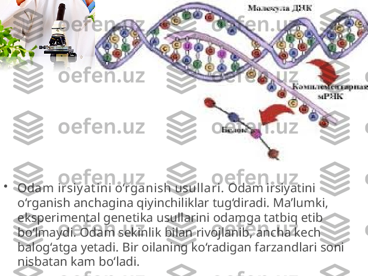 •
Odam irsiy at ini o‘rganish usullari.  Odam irsiyatini 
o‘rganish anchagina qiyinchiliklar tug‘diradi. Ma’lumki, 
eksperimental genetika usullarini odamga tatbiq etib 
bo‘lmaydi. Odam sekinlik bilan rivojlanib, ancha kech 
balog‘atga yetadi. Bir oilaning ko‘radigan farzandlari soni 
nisbatan kam bo‘ladi. 