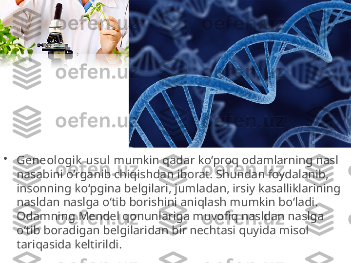 •
Geneologik  usul  mumkin qadar ko‘proq odamlarning nasl 
nasabini o‘rganib chiqishdan iborat. Shundan foydalanib, 
insonning ko‘pgina belgilari, jumladan, irsiy kasalliklarining 
nasldan naslga o‘tib borishini aniqlash mumkin bo‘ladi. 
Odamning Mendel qonunlariga muvofiq nasldan naslga 
o‘tib boradigan belgilaridan bir nechtasi quyida misol 
tariqasida keltirildi. 