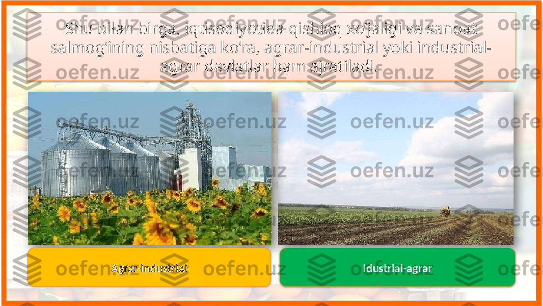 Shu bilan birga, iqtisodiyotida qishloq xo‘jaligi va sanoat 
salmog‘ining nisbatiga ko‘ra, agrar-industrial yoki industrial-
agrar davlatlar ham ajratiladi. 
Agrar-industrial Idustrial-agrar       