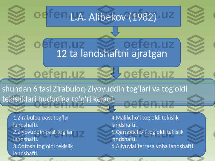 L.A. Alibekov (1982)
12 ta landshaftni ajratgan
shundan 6 tasi Zirabuloq-Ziyovuddin tog‘lari va tog‘oldi 
tekisliklari hududiga to‘g‘ri keladi. 
1.Zirabuloq past tog‘lar 
landshafti.
2.Ziyovuddin past tog‘lar 
landshafti.
3.Oqtosh tog‘oldi tekislik 
landshafti. 4.Malikcho‘l tog‘oldi tekislik 
landshafti.
5.Qarnobcho‘l tog‘oldi tekislik 
landshafti.
6.Allyuvial terrasa voha landshafti 