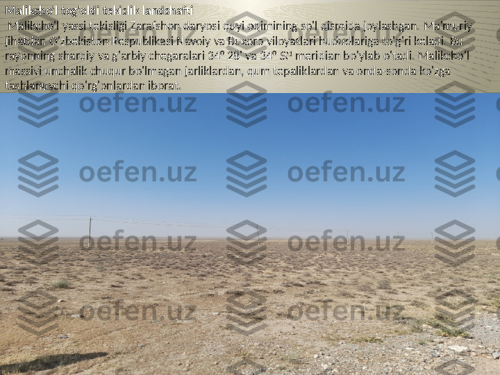 Malikcho'l tog'oldi tekislik landshafti
  Malikcho'l yassi tekisligi Zarafshon daryosi quyi oqimining so'l qismida joylashgan.  Ma'muriy 
jihatdan O'zbekiston Respublikasi Navoiy va Buxoro viloyatlari hududlariga to'g'ri keladi. Bu 
rayonning sharqiy va g'arbiy chegaralari 34° 28' va 34°  SI 1
  meridian bo'ylab o'tadi. Malikcho'l 
massivi unchalik chuqur bo'lmagan jarliklardan, qum tepaliklardan va onda-sonda ko'zga 
tashlanuvchi qo'rg'onlardan iborat. 