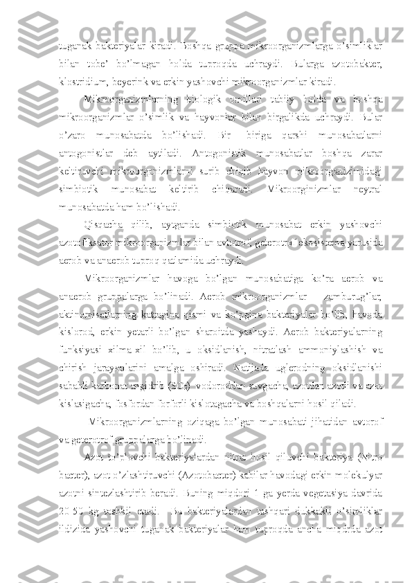 tuganak   bakteriyalar   kiradi.   Boshqa   gruppa   mikroorganizmlarga   o’simliklar
bilan   tobe’   bo’lmagan   holda   tuproqda   uchraydi.   Bularga   azotobakter,
klostridium, beyerink va erkin yashovchi mikroorganizmlar kiradi. 
Mikroorganizmlarning   biologik   omillari   tabiiy   holda   va   boshqa
mikroorganizmlar   o’simlik   va   hayvonlar   bilan   birgalikda   uchraydi.   Bular
o’zaro   munosabatda   bo’lishadi.   Bir   –biriga   qarshi   munosabatlarni
antogonistlar   deb   aytiladi.   Antogonistik   munosabatlar   boshqa   zarar
keltiruvchi   mikroorganizmlarni   surib   chiqib   hayvon   mikroorganizimidagi
simbiotik   munosabat   keltirib   chiqaradi.   Mikroorginizmlar   neytral
munosabatda ham bo’lishadi.
Qisqacha   qilib,   aytganda   simbiotik   munosabat   erkin   yashovchi
azotofiksator mikroorganizmlar bilan avtotrof, geterotrof ekosistema yarusida
aerob va anaerob tuproq qatlamida uchraydi. 
Mikroorganizmlar   havoga   bo’lgan   munosabatiga   ko’ra   aerob   va
anaerob   gruppalarga   bo’linadi.   Aerob   mikroorganizmlar   –   zamburug’lar,
aktinomisetlarning   kattagina   qismi   va   ko’pgina   bakteriyalar   bo’lib,   havoda
kislorod,   erkin   yetarli   bo’lgan   sharoitda   yashaydi.   Aerob   bakteriyalarning
funksiyasi   xilma-xil   bo’lib,   u   oksidlanish,   nitratlash   ammoniylashish   va
chirish   jarayonlarini   amalga   oshiradi.   Natijada   uglerodning   oksidlanishi
sababli karbonat angidrib (SO
2 )  vodoroddan suvgacha, azotdan azotli va azot
kislasigacha, fosfordan forforli kislotagacha va boshqalarni hosil qiladi.
  Mikroorganizmlarning   oziqaga   bo’lgan   munosabati   jihatidan   avtorof
va geterotrof gruppalarga bo’linadi. 
Azot   to’plovchi   bakteriyalardan   nitrat   hosil   qiluvchi   bakteriya   (Nitro
bacter), azot o’zlashtiruvchi (Azotobacter) kabilar havodagi erkin molekulyar
azotni   sintezlashtirib   beradi.   Buning   miqdori   1   ga   yerda   vegetasiya   davrida
20-50   kg   tashkil   etadi.     Bu   bakteriyalardan   tashqari   dukkakli   o’simliklar
ildizida   yashovchi   tuganak   bakteriyalar   ham   tuproqda   ancha   miqdrda   azot 