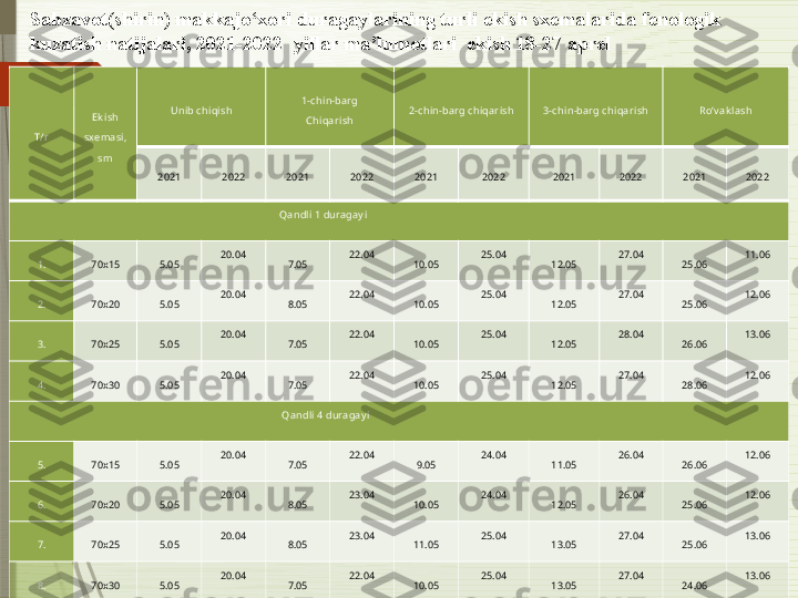 Sabzavot(shirin) makkajo‘xori duragaylarining turli ekish sxemalarida fenologik 
kuzatish natijalari, 2021-2022  yillar ma’lumotlari  ekish 18-27 aprel 
T/r Ek ish 
sxemasi, 
sm Unib chi qish 1-chi n-barg
Chi qari sh 2-chin-barg chiqarish 3-chi n-barg  c hi qari sh Ro‘v ak l ash
20 21 2022 20 21 202 2 20 21 202 2 20 21 202 2 20 21 202 2
                                                                                                     Qandli  1 duragay i
1. 70x15 5.05 20.04
7.05 22.04
10.05 25.04
12.05 27.04
25.06 11.06
2. 70x20 5.05 20.04
8.05 22.04
10.05 25.04
12.05 27.04
25.06 12.06
3. 70x25 5.05 20.04
7.05 22.04
10.05 25.04
12.05 28.04
26.06 13.06
4. 70x30 5.05 20.04
7.05 22.04
10.05 25.04
12.05 27.04
28.06 12.06
                                                                                                      Qandli  4 duragay i
5. 70x15 5.05 20.04
7.05 22.04
9.05 24.04
11.05 26.04
26.06 12.06
6. 70x20 5.05 20.04
8.05 23.04
10.05 24.04
12.05 26.04
25.06 12.06
7. 70x25 5.05 20.04
8.05 23.04
11.05 25.04
13.05 27.04
25.06 13.06
8. 70x30 5.05 20.04
7.05 22.04
10.05 25.04
13.05 27.04
24.06 13.06              