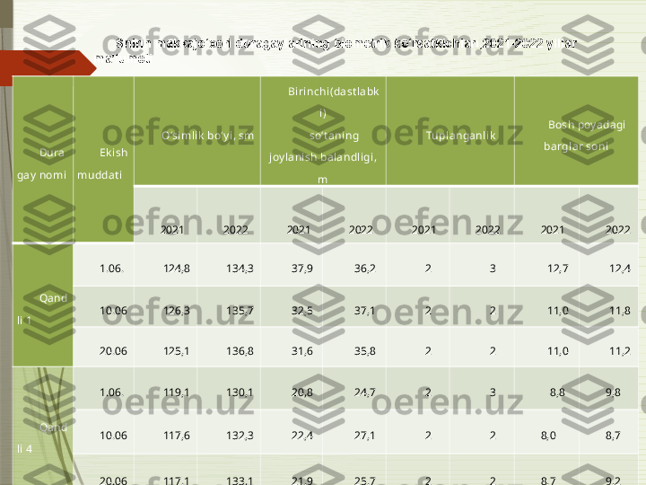 Dura
gay   nomi Ek i sh 
muddat i O‘siml ik  bo‘y i, sm Biri nchi(dast labk
i)
so‘t aning 
joy lanish balandligi, 
m Tupl anganlik Bosh poy adagi 
barglar soni
 
20 21  
202 2  
20 21  
202 2  
20 21  
202 2  
20 21  
202 2
Qand
li 1 1.06. 124,8 134,3 37,9 36,2 2 3 12,7 12,4
10.06 126,3 135,7 32,5 37,1 2 2 11,0 11,8
20.06 125,1 136,8 31,6 35,8 2 2 11,0 11,2
Qand
li 4 1.06. 119,1 130,1 20,8 24,7 2 3 8,8 9,8
10.06 117,6 132,3 22,4 27,1 2 2 8,0 8,7
20.06 117,1 133,1 21,9 25,7 2 2 8,7 9,2Shirin makkajo‘xori  duragay larining biometrik ko‘rsatkichlari,20 21 -202 2  yillar 
ma’lumoti              