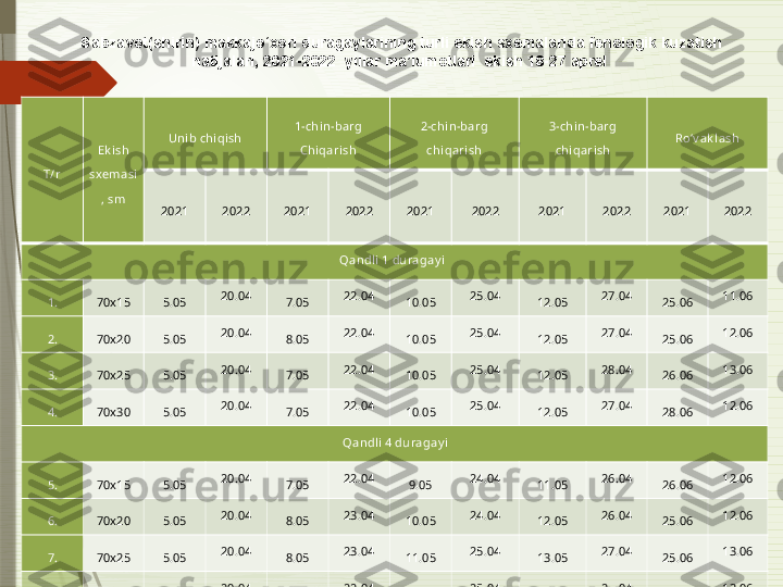T/r Ek ish 
sxemasi
, sm Unib chiqish 1-chin-barg
Chiqarish 2-chin-barg 
chiqarish 3-chin-barg 
c hiqarish Ro‘v ak lash
20 21 2022 20 21 202 2 20 21 202 2 20 21 202 2 20 21 202 2
                                                                                                     Qa ndli 1 duragay i
1. 70x15 5.05 20.04
7.05 22.04
10.05 25.04
12.05 27.04
25.06 11.06
2. 70x20 5.05 20.04
8.05 22.04
10.05 25.04
12.05 27.04
25.06 12.06
3. 70x25 5.05 20.04
7.05 22.04
10.05 25.04
12.05 28.04
26.06 13.06
4. 70x30 5.05 20.04
7.05 22.04
10.05 25.04
12.05 27.04
28.06 12.06
                                                                                                      Qa ndli 4 duragay i
5. 70x15 5.05 20.04
7.05 22.04
9.05 24.04
11.05 26.04
26.06 12.06
6. 70x20 5.05 20.04
8.05 23.04
10.05 24.04
12.05 26.04
25.06 12.06
7. 70x25 5.05 20.04
8.05 23.04
11.05 25.04
13.05 27.04
25.06 13.06
8. 70x30 5.05 20.04
7.05 22.04
10.05 25.04
13.05 27.04
24.06 13.06Sabzavot(shirin) makkajo‘xori duragaylarining turli ekish sxemalarida fenologik kuzatish 
natijalari, 2021-2022  yillar ma’lumotlari  ekish 18-27 aprel               