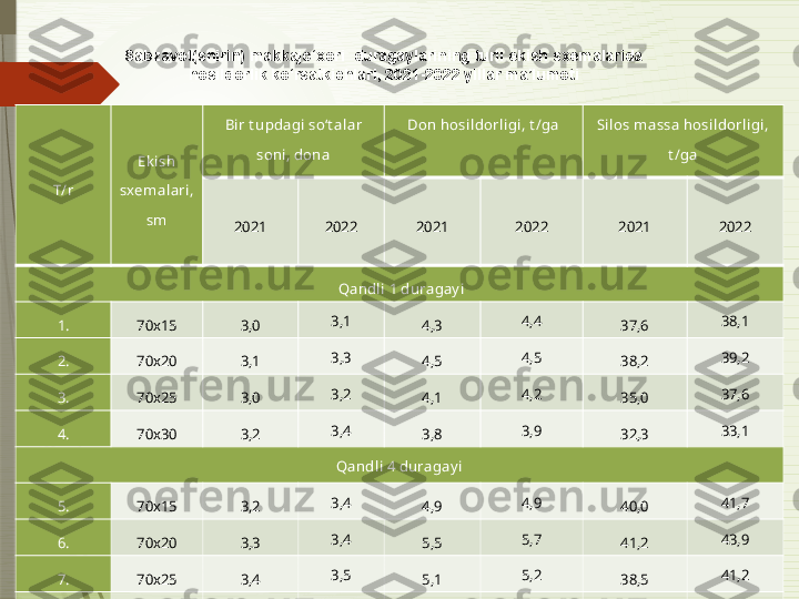 T/r Ek ish 
sxemalari, 
sm Bir t updagi so‘t alar 
soni, dona Don hosildorligi, t /ga Silos massa hosildorligi, 
t /ga
20 21 2022 20 21 2022 20 21 2022
  Qandli 1 duragay i
1. 70x15 3,0 3,1
4,3 4,4
37,6 38,1
2. 70x20 3,1 3,3
4,5 4,5
38,2 39,2
3. 70x25 3,0 3,2
4,1 4,2
35,0 37,6
4. 70x30 3,2 3,4
3,8 3,9
32,3 33,1
Qandli 4 duragay i
5. 70x15 3 ,2 3,4
4,9 4,9
40,0 41,7
6. 70x20 3,3 3,4
5,5 5,7
41,2 43,9
7. 70x25 3,4 3,5
5,1 5,2
38,5 41,2
8. 70x30 3,4 3,5
4,7 4,6
36,8 40,0Sabzavot(shirin) makkajo‘xori  duragaylarining turli ekish sxemalarida 
hosildorlik ko‘rsatkichlari, 2021-2022 yillar ma’lumoti              