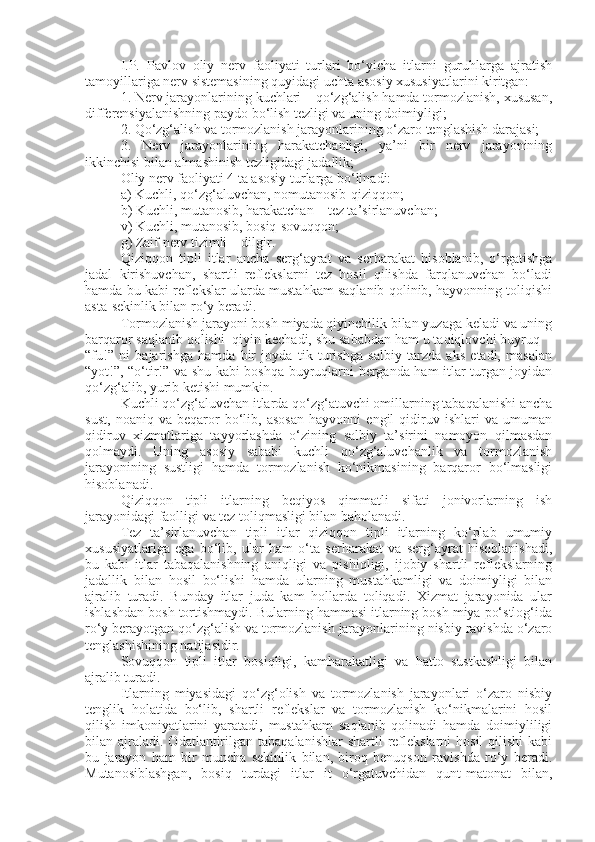 I.P.   Pavlov   oliy   nerv   faoliyati   turlari   bo‘yicha   itlarni   guruhlarga   ajratish
tamoyillariga nerv sistemasining quyidagi uchta asosiy xususiyatlarini kiritgan:
1. Nerv jarayonlarining kuchlari – qo‘zg‘alish hamda tormozlanish, xususan,
differensiyalanishning paydo bo‘lish tezligi va uning doimiyligi;
2. Qo‘zg‘alish va tormozlanish jarayonlarining o‘zaro tenglashish darajasi;
3.   Nerv   jarayonlarining   harakatchanligi,   ya’ni   bir   nerv   jarayonining
ikkinchisi bilan almashinish tezligidagi jadallik;
Oliy nerv faoliyati 4 ta asosiy turlarga bo‘linadi:
a) Kuchli, qo‘zg‘aluvchan, nomutanosib-qiziqqon;
b) Kuchli, mutanosib, harakatchan – tez ta’sirlanuvchan;
v) Kuchli, mutanosib, bosiq-sovuqqon;
g) Zaif nerv tizimli – dilgir.
Qiziqqon   tipli   itlar   ancha   serg‘ayrat   va   serharakat   hisoblanib,   o‘rgatishga
jadal   kirishuvchan,   shartli   reflekslarni   tez   hosil   qilishda   farqlanuvchan   bo‘ladi
hamda bu kabi reflekslar ularda mustahkam saqlanib qolinib, hayvonning toliqishi
asta-sekinlik bilan ro‘y beradi.
Tormozlanish jarayoni bosh miyada qiyinchilik bilan yuzaga keladi va uning
barqaror saqlanib qolishi  qiyin kechadi, shu sababdan ham u taqiqlovchi buyruq  -
“fu!”   ni   bajarishga   hamda   bir   joyda   tik   turishga   salbiy   tarzda   aks   etadi,   masalan
“yot!”, “o‘tir!” va shu kabi boshqa buyruqlarni berganda ham itlar turgan joyidan
qo‘zg‘alib, yurib ketishi mumkin.
Kuchli qo‘zg‘aluvchan itlarda qo‘zg‘atuvchi omillarning tabaqalanishi ancha
sust,   noaniq   va   beqaror   bo‘lib,   asosan   hayvonni   engil   qidiruv   ishlari   va   umuman
qidiruv   xizmatlariga   tayyorlashda   o‘zining   salbiy   ta’sirini   namoyon   qilmasdan
qolmaydi.   Uning   asosiy   sababi   kuchli   qo‘zg‘aluvchanlik   va   tormozlanish
jarayonining   sustligi   hamda   tormozlanish   ko‘nikmasining   barqaror   bo‘lmasligi
hisoblanadi.
Qiziqqon   tipli   itlarning   beqiyos   qimmatli   sifati   jonivorlarning   ish
jarayonidagi faolligi va tez toliqmasligi bilan baholanadi.
Tez   ta’sirlanuvchan   tipli   itlar   qiziqqon   tipli   itlarning   ko‘plab   umumiy
xususiyatlariga   ega   bo‘lib,   ular   ham   o‘ta   serharakat   va   serg‘ayrat   hisoblanishadi,
bu   kabi   itlar   tabaqalanishning   aniqligi   va   pishiqligi,   ijobiy   shartli   reflekslarning
jadallik   bilan   hosil   bo‘lishi   hamda   ularning   mustahkamligi   va   doimiyligi   bilan
ajralib   turadi.   Bunday   itlar   juda   kam   hollarda   toliqadi.   Xizmat   jarayonida   ular
ishlashdan bosh tortishmaydi. Bularning hammasi itlarning bosh miya po‘stlog‘ida
ro‘y berayotgan qo‘zg‘alish va tormozlanish jarayonlarining nisbiy ravishda o‘zaro
tenglashishining natijasidir.
Sovuqqon   tipli   itlar   bosiqligi,   kamharakatligi   va   hatto   sustkashligi   bilan
ajralib turadi.
Itlarning   miyasidagi   qo‘zg‘olish   va   tormozlanish   jarayonlari   o‘zaro   nisbiy
tenglik   holatida   bo‘lib,   shartli   reflekslar   va   tormozlanish   ko‘nikmalarini   hosil
qilish   imkoniyatlarini   yaratadi,   mustahkam   saqlanib   qolinadi   hamda   doimiyliligi
bilan ajraladi.  Odatlantirilgan  tabaqalanishlar   shartli  reflekslarni  hosil  qilishi   kabi
bu   jarayon   ham   bir   muncha   sekinlik   bilan,   biroq   benuqson   ravishda   ro‘y   beradi.
Mutanosiblashgan,   bosiq   turdagi   itlar   it   o‘rgatuvchidan   qunt-matonat   bilan, 