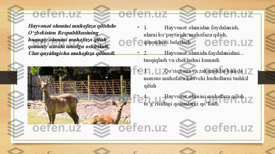 Hayvonot olamini muhofaza qilishda 
O‘zbekiston Respublikasining 
huquqiy olamini muhofaza qilish 
qonuniy asosda amalga oshiriladi. 
Ular quyidagicha muhofaza   qilinadi.  • 1. Hayvonot olamidan foydalanish, 
ularni ko‘paytirish, muhofaza qilish, 
qonunlarni belgilash 
•
2. Hayvonot olamida foydalanishni 
taoqiqlash va cheklashni kumash 
•
3. Qo‘riqxona va zakazniklar hamda 
maxsus muhofaza kiluvchi hududlarni tashkil 
qilish 
• 4. Hayvonot olamini muhofaza qilish 
to‘g‘risidagi qonunlarni qo‘llash.  