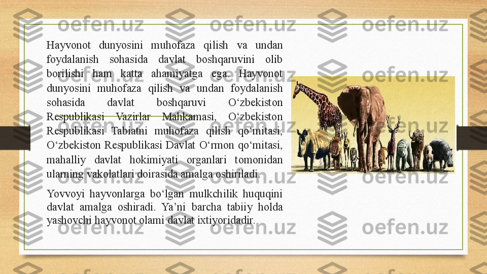 Hayvonot  dunyosini  muhofaza  qilish  va  undan 
foydalanish  sohasida  davlat  boshqaruvini  olib 
borilishi  ham  katta  ahamiyatga  ega.  Hayvonot 
dunyosini  muhofaza  qilish  va  undan  foydalanish 
sohasida  davlat  boshqaruvi  O‘zbekiston 
Respublikasi  Vazirlar  Mahkamasi,  O‘zbekiston 
Respublikasi  Tabiatni  muhofaza  qilish  qo‘mitasi, 
O‘zbekiston  Respublikasi  Davlat  O‘rmon  qo‘mitasi, 
mahalliy  davlat  hokimiyati  organlari  tomonidan 
ularning vakolatlari doirasida amalga oshiriladi. 
Yovvoyi  hayvonlarga  bo‘lgan  mulkchilik  huquqini 
davlat  amalga  oshiradi.  Ya ’ ni  barcha  tabiiy  holda 
yashovchi hayvonot olami davlat ixtiyoridadir.  