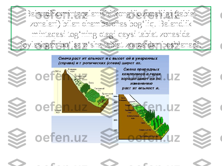 Balandlik mintaqalanishi kenglik zonalligi (tabiat 
zonalari) bilan chambarchas bog‘liq. Balandlik 
mintaqasi tog‘ning etagi qaysi tabiat zonasida 
joylashgan bo‘lsa o‘sha tabiat zonasidan boshlanadi. 