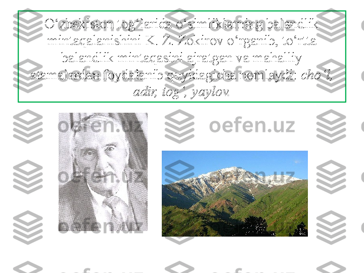 O‘zbekiston tog‘larida o‘simliklarning balandlik 
mintaqalanishini  K. Z. Zokirov o‘rganib, to‘rtta 
balandlik mintaqasini ajratgan va mahalliy
atamalardan foydalanib quyidagicha nomlaydi:  cho‘l, 
adir, tog‘, yaylov. 