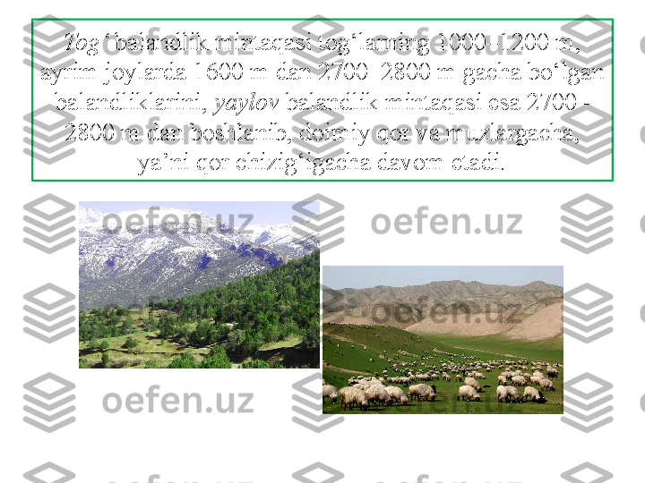 Tog‘  balandlik mintaqasi tog‘larning 1000–1200 m,
ayrim joylarda 1600 m dan 2700–2800 m gacha bo‘lgan 
balandliklarini,  yaylov  balandlik mintaqasi esa 2700–
2800 m dan boshlanib, doimiy qor va muzlargacha, 
ya’ni qor chizig‘igacha davom etadi. 