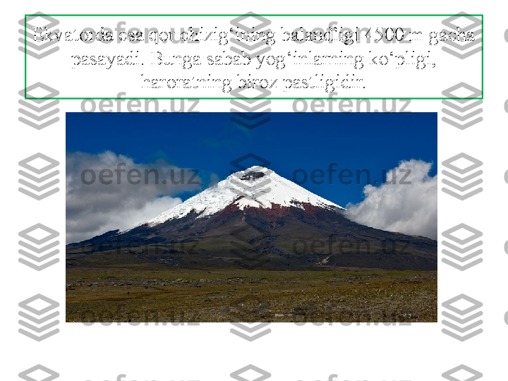 Ekvatorda esa qor chizig‘ining balandligi 4500 m gacha 
pasayadi. Bunga sabab yog‘inlarning ko‘pligi, 
haroratning biroz pastligidir. 