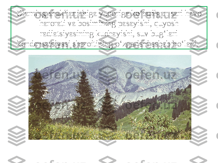 Ularning shakllanishiga yuqoriga ko‘tarilgan sari havo 
harorati va bosimining pasayishi, quyosh 
radiatsiyasining kuchayishi, suv bug‘lari 
kondensatsiyasi sharoitining o‘zgarishi sabab bo‘ladi.  