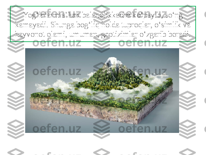 Yog‘inlar ma’lum balandlikkacha ko‘payib, so‘ng 
kamayadi. Shunga bog‘liq holda tuproqlar, o‘simlik va 
hayvonot olami, umuman, geotizimlar o‘zgarib boradi. 