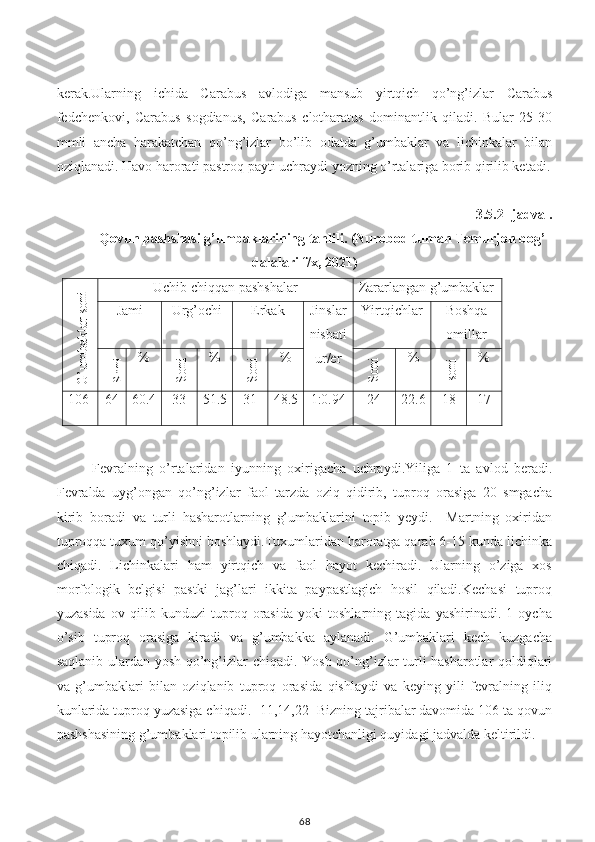 kerak.Ularning   ichida   Carabus   avlodiga   mansub   yirtqich   qo’ng’izlar   Carabus
fedchenkovi,   Carabus   sogdianus,   Carabus   clotharatus   dominantlik   qiladi.   Bular   25-30
mmli   ancha   harakatchan   qo’ng’izlar   bo’lib   odatda   g’umbaklar   va   lichinkalar   bilan
oziqlanadi. Havo harorati pastroq payti uchraydi yozning o’rtalariga borib qirilib ketadi.
3.5.2- jadval.
Qovun pashshasi g’umbaklarining tahlili. (Nurobod tuman Temurjon bog’
dalalari f/x, 2021)G’um
baklar soni
Uchib chiqqan pashshalar Zararlangan g’umbaklar
Jami Urg’ochi Erkak Jinslar
nisbati
ur/er Yirtqichlar Boshqa
omillar	
Soni
%	
Soni %	
Soni %	
Soni %	
soni %
106 64 60.4 33 51.5 31 48.5 1:0.94 24 22.6 18 17
Fevralning   o’rtalaridan   iyunning   oxirigacha   uchraydi.Yiliga   1   ta   avlod   beradi.
Fevralda   uyg’ongan   qo’ng’izlar   faol   tarzda   oziq   qidirib,   tuproq   orasiga   20   smgacha
kirib   boradi   va   turli   hasharotlarning   g’umbaklarini   topib   yeydi.     Martning   oxiridan
tuproqqa tuxum qo’yishni boshlaydi.Tuxumlaridan haroratga qarab 6-15 kunda lichinka
chiqadi.   Lichinkalari   ham   yirtqich   va   faol   hayot   kechiradi.   Ularning   o’ziga   xos
morfologik   belgisi   pastki   jag’lari   ikkita   paypastlagich   hosil   qiladi.Kechasi   tuproq
yuzasida   ov   qilib   kunduzi   tuproq   orasida   yoki   toshlarning   tagida   yashirinadi.   1   oycha
o’sib   tuproq   orasiga   kiradi   va   g’umbakka   aylanadi.   G’umbaklari   kech   kuzgacha
saqlanib ulardan yosh qo’ng’izlar chiqadi. Yosh qo’ng’izlar turli hasharotlar qoldiqlari
va   g’umbaklari   bilan   oziqlanib   tuproq   orasida   qishlaydi   va   keying   yili   fevralning   iliq
kunlarida tuproq yuzasiga chiqadi. [11,14,22] Bizning tajribalar davomida 106 ta qovun
pashshasining g’umbaklari topilib ularning hayotchanligi quyidagi jadvalda keltirildi.
 
68 