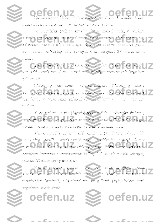 Qandalalarning   13   turi   g’o’zaga   tushishi   ma’lum.   SHulardan   2   turi:
beda va dala qandalasi ayrim yillari sezilarli zarar keltiradi.
Beda  qandalasi (Adelphosoris lineolutus Goyeze).  Beda, g’o’za  kabi
o’simliklarni   zararlab,   asosan   o’zining   og’iz   apparati   bilan   shona,   gul,
ko’saklarni   sanchib-so’rib   zararlaydi.   Qattiq   zararlangan   shona   va   gullar
qurib   qoladi,   ko’sakdagi   tola   kamayib,   sifati   pasayadi,   3-4   marta   avlod
beradi.
Qandalalarga    qarshi maxsus kurash    choralari o’tkazilmaydi,  sababi,
so’ruvchi    zararkunandalarga    qarshi    qo’llaniladigan preparatlar bularga ham
qo’llaniladi.
G’o’zaning     kemiruvchi     zararkunandalari.     G’o’zaning     asosiy
kemiruvchi     zararkunandalariga     tunlamlar     kiradi,     respublikamiz   paxtakor
rayonlarida   g’o’zaga   zarar   yetkazadigan   tunlamlarning   11   dan   ortiq   turi
ma’lum.
Kuzgi   tunlam   -   Sistia   (Agrytis)   segetum   Sch.   Hasharotlar   sinfining,
tanga qanotlilar turkumiga, tunlamlar oilasiga mansub bo’lib, sug’oriladigan
paxtachilik rayonlarida keng tarqalgan zararkunandalardan biridir.
Kichik   quruqlik   tunlami   yoki   karadrina   (Spodjptera   exigua   Hb).
G’o’zaning   xavfli   zararkunandalaridan   hisoblanib,   hozirgi   kunda
respublikamiz   shimoliy   viloyatlarida   g’o’zaga   jiddiy   zarar   yetkazadi.
Karadrina   hammaxo’r   zararkunanda   bo’lib,   114   xil   o’simlikda   uchraydi,
shundan 70 xili madaniy ekinlardir.
Kichik   yoshdagi   qurtlari   barg   etini   qirtishlab   yeydi,   katta
yoshdagilari   esa   barglarni   kemirib   teshik   qilib   ketadi,   undan   tashqari
mevabandini   kemiradi,   gulyonbarglarini   va   gullarni   yeydi,   ba’zan   hosil
organlarini teshib kiradi. 