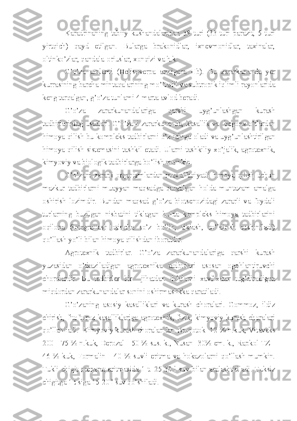 Karadrinaning   tabiiy   kushandalaridan   38   turi   (33   turi   parazit,   5   turi
yirtqich)   qayd   etilgan.   Bularga   brakonidlar,   ixnevmonidlar,   taxinalar,
oltinko’zlar, qandala-oriuslar, xonqizi va h.k.
G’o’za   tunlami   (Helisoverpa   armigera   Hb).   Bu   zararkunanda   yer
kurrasining barcha mintaqalarining mo’’tadil va subtropik iqlimli rayonlarida
keng tarqalgan, g’o’za tunlami 4 marta avlod beradi.
G’o’za   zararkunandalariga   qarshi   uyg’unlashgan   kurash
tadbirlarining usullari. G’o’zani zararkunanda, kasallik va     begona o’tlardan
himoya qilish bu kompleks tadbirlarni o’z ichiga oladi va uyg’unlashtirilgan
himoya qilish sistemasini tashkil etadi. Ularni tashkiliy-xo’jalik, agrotexnik,
kimyoviy va biologik tadbirlarga bo’lish mumkin.
G’o’zani   zararli   organizmlardan   muvaffaqiyatli   himoya   qilish   uchun
mazkur   tadbirlarni   muayyan   maqsadga   qaratilgan   holda   muntazam   amalga
oshirish   lozimdir.   Bundan   maqsad   g’o’za   biotsenozidagi   zararli   va   foydali
turlarning   buzilgan   nisbatini   tiklagan   holda   kompleks   himoya   tadbirlarini
oqilona   (integr al lash-lotincha   so’z   bo’lib,   tiklash,   to’ldirish   tushiniladi)
qo’llash yo’li bilan himoya qilishdan iboratdir.
Agrotexnik   tadbirlar.   G’o’za   zararkunandalariga   qarshi   kurash
yuzasidan   o’tkaziladigan   agrotexnika   tadbirlari   asosan   ogohlantiruvchi
choralardir.   Bu   tadbirlar   bir     jihatdan   dalalarni   xavf-xatar   tug’diradigan
miqdordan zararkunandalar sonini oshirmaslikka qaratiladi.
G’o’zaning   asosiy   kasalliklari   va   kurash   choralari.   Gommoz,   ildiz
chirish, fitoftoroz kasalliklariga agrotexnik, fizik, kimyoviy kurash choralari
qo’llaniladi.    Kimyoviy kurash choralaridan Bronotok -12  % n. kuk, Vitavaks
200 - 75   %   n.kuk, Derozal - 50 % sus. k., Nusan -30% em. k., Rapkol TZ -
46   %   kuk,   Formalin   -   40   %   suvli   eritma   va   hokazolarni   qo’llash   mumkin.
Tukli chigit preparat eritmasida 1 t. 25-30 l suv bilan aralashtiriladi. Tuksiz
chigitga 1 t siga 15-20 l suv qo’shiladi. 