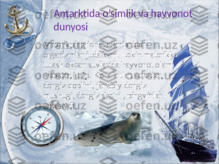 Antarktida o’simlik va hayvonot 
dunyosi
Materikning ichki qismlarida 
organizmlar juda kam. Lekin materikka 
tutash okean suvlarida hayvonot olami 
nisbatan ko’p. Ko`k kitlar, tulenlar, 
dengiz qoplini, janubiy dengiz 
mushugi, dengiz she`ri , pingvinlar 
uchdaydi.  