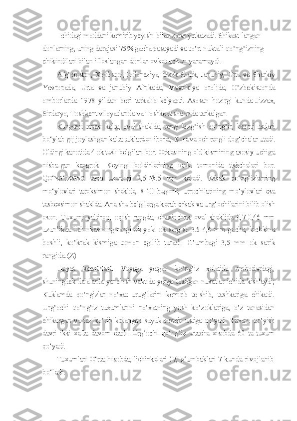   I chidagi moddani kemirib yeyishi bilan zarar yetkazadi. Shikast- langan 
donlarning, uning darajasi 75 %  gacha pasayadi va t o‘ rt  nuktali  qo‘ n g‘ izning 
chikindilari bilan ifloslangan donlar  ovkat uchun yaramaydi.
Af g‘ oniston, Xindiston,
  Indoneziya, Uzok Shark, Janubiy,   Urta va Sharkiy
Yevropada,   Urta   va   janubiy   Afrikada,   Mavri kiya   orolida,   O‘ zbekistonda
omborlarda   1978   yildan   beri   tarkalib   kelyapti.   Asosan   h ozirgi   kunda   Jizzax,
Sirdaryo, Toshkent viloyatlarida va Toshkent sha h rida tarkalgan.
Kungizni  tanasi  kalta,  oval  shaklda,  rangi  kiz g‘ ish   qo‘ n g‘ ir,   kanoti   ustlari
b o‘ ylab g i j joylashgan kalta tuklardan iborat,  Kora va och rangli do g‘ chalar utadi.
Oldingi kanotida 4 ok tusli  belgilari bor. Orkasining old kismining asosiy uchiga
nisba- gan   kengrok-   Keyingi   boldirlarining   ichki   tomonida   tishchalari   bor.
Q O ‘ NG ‘ IZNING   tana   uzunligi   2,5-№.5   mm   keladi.   Erkak   qo‘ n g‘ izlarning
m o‘ ylovlari   taroksimon   shaklda,   8-10   bugimli,   urrochilarining   m o‘ ylovlari   esa
tasbexsimon shaklda. Ana shu  belgilarga karab erkak va ur g‘ ochilarini bilib olish
oson.   Tuxu mi   yaltiro q ,   o q ish   rangda,   chuzinchok   oval   shaklida   0,7-0,46   mm
uzunlikda lichinkasining rangi ok yoki ok sargish 3.5-4,6 mm ga cha, kichkina
boshli,   k o‘ krak   kismiga   tomon   egilib   turadi.   G‘ umbagi   3,5   mm   ok   sarik
rangida.(Z)
H ayot   kechirishi.   Voyaga   yetgan   k o‘ n g‘ iz   xolatida   omb o rlardagi,
shuningdek dalalarda yanchish vaktida yerga tukilgan nuxatlar ichi da kishlaydi;
Kuklamda   qo‘ ngizlar   n o‘ xat   uru g‘ larini   kemirib   te- shib,   tashkariga   chikadi.
Ur g‘ ochi   qo‘ n g‘ iz   tuxumlarini   n o‘ xatning   yosh   k o‘ zoklariga,   o‘ z   tanasidan
chikargan va tez k o‘ rib kola n gan   suyuk tomchi ustiga   qo‘ yadi. Tuxum   qo‘ yish
davri   ikki   xafta   davom   etadi.   Ur g‘ ochi   qo‘ n g‘ iz   urtacha   xisobda   60   ta   tuxum
qo‘ yadi.
Tuxumlari  O‘ rta  h isobda, lichinkalari 17,  g‘ umbaklari 7  kunda rivojlanib
b o‘ ladi. 