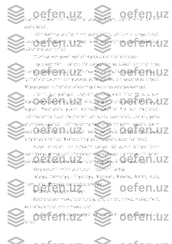 bugimli   bulavasi   bor.   Erkagining   uzunligi   2   mm,   ur g‘ ochisiniki   2,8   mm
gacha keladi.
Lichinkasining   uzunligi   4   mm   gacha   b o‘ lib,   uchi   tomon   toraya   boradi.
Uzun   kungir   tuklari   bor,   s o‘ nggi   korin   segmentining   orka   chekkasidagi
tuklari eng uzun b o‘ ladi.
G‘ umbagi xam yaxshi sezilarli siyrak tuklar bilan koplangan.
H ayot kechirishi.   H asharot   o‘ zi tushgan don va dukkali don bi lan birga
boshka   joylarga   tarkaladi.   Don   p o‘ stx o‘ ri   lichinkalik   stadiyasida   q ishlaydi.
Qo‘ n g‘ izlar   tuxumini   don   yuzasiga   gallarlarda   esa   don   egatchasiga   qo‘ yadi.
Voyaga yetgan  qo‘ n g‘ izlar  ozikdanmaydi va donga zarar yetkazmaydi.
Ular   10   kun   yashaydi.   Ur g‘ ochilari   O‘ rta   xisob   bilan   65   ta   tu-xum
kuyadi, xar kaysinisini aloxida-aloxida joylaydi. Kup de-ganda 126 ta tuxum
k u yadi.   Yetarligicha   yukori   xdroratda   tuxumlar   6-7   kun   rivojlanadi.
Lichinkalarning   butun   rivojpanishi   uch   kunda   tuganlanadi,   ular   shu   yerda
g‘ umbakka   aylanadi.   Lichinka larning   rivojlanishi   bir   yarim   oygacha   davom
etadi.   K o‘ n g‘ izlar   donni   tashlab   ketib,   tez   orada   juftlashadi   va   tuxum
k o‘ yishiga kirishiladi. Xasharot bir yilga t o‘ rttagacha kadar na s l beradi.
Kurash   choralari.   Don   p o‘ stx o‘ ri   tushgan   deb   gumon   kilingan   donni
dezinfeksiya kilmay turib   O‘ zbekistonni tarkalmagan joylrlariga olib kelishi
takiklanadi. Zararlangan omborxonalar fumigatsiya kilinishi zarur.(1)
Keng xartumli ombor uzunburuni –  Caulophillus   Say
Belgiya,   Germaniya,   Finlyandiya,   Marokash,   Meksika,   AK.Sh,   Kuba,
Puerto-Riko, Yamayka davlatlarida tarkalgan.
MDX da r o‘ yxatga olinmagan.
Zararlanadigan   maxsulotlar   burdoy,   arpa   donlari,   n o‘ xat,   makkaj o‘ xori,
va boshka k o‘ plab ombor maxsulotlari.
Uru g‘ larni   uru g‘ kurtagini   yeydi   va   ular   ekish   uchun   yaroksiz   bulib
koladi. 