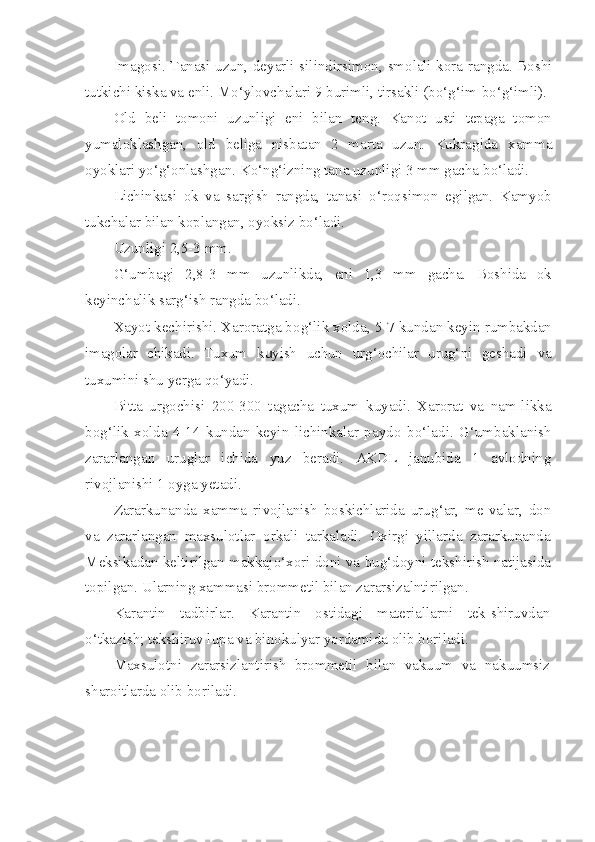 Imagosi. Tanasi uzun, deyarli silind i rsimon, smolali kora rangda. Boshi
tutkichi kiska va enli. M o‘ ylovchalari 9 burimli, tirsakli (b o‘g‘ im-b o‘g‘ imli).
Old   beli   tomoni   uzunligi   eni   bilan   teng.   Kanot   usti   tepaga   tomon
yumaloklashgan,   old   beliga   nisbatan   2   marta   uzun.   Kukragida   x a mma
oyoklari y o‘g‘ onlashgan. K o‘ n g‘ izning tana uzunli gi 3 mm gacha b o‘ ladi.
Lichinkasi   ok   va   sargish   rangda,   tanasi   o‘ ro q simon   egilgan.   Kamyob
tukchalar bilan koplangan, oyoksiz b o‘ ladi.
Uzunligi 2,5-3 mm.
G‘ umbagi   2,8-3   mm   uzunlikda,   eni   1,3   mm   gacha.   Boshida   ok
keyinchalik sar g‘ ish rangda b o‘ ladi.
Xayot kechirishi. Xaroratga bo g‘ lik x o lda, 5-7 kundan keyin  rumbakdan
imagolar   chikadi.   Tuxum   k u yish   uchun   ur g‘ ochilar   uru g‘ ni   geshadi   va
tuxumini shu yerga  qo‘ yadi.
Bitta   urgochisi   200-300   tagacha   tuxum   k u yadi.   Xarorat   va   nam-likka
bo g‘ lik   xolda   4-14   kundan   keyin   lichinkalar   paydo   b o‘ ladi.   G‘ umbaklanish
zararlangan   uruglar   ichida   yuz   beradi.   AKDL   janubida   1   avlodning
rivojlanishi 1 oyga yetadi.
Zararkunanda   xamma   rivojlanish   boskichlarida   uru g‘ ar,   me-valar,   don
va   zararlangan   maxsulotlar   orkali   tarkaladi.   Oxirgi   yillarda   zararkunanda
Meksikadan keltirilgan makkaj o‘ xori doni va bu g‘ doyni tekshirish natijasida
topilgan. Ularning xammasi brommetil bilan zararsizalntirilgan.
Karantin   tadbirlar.   Karantin   ostidagi   materiallarni   tek-shiruvdan
o‘ tkazish; tekshiruv lupa va binokulyar yordamida olib boriladi.
Maxsulotni   zararsizlantirish   brommetil   bilan   vakuum   va   nakuumsiz
sharoitlarda olib boriladi. 