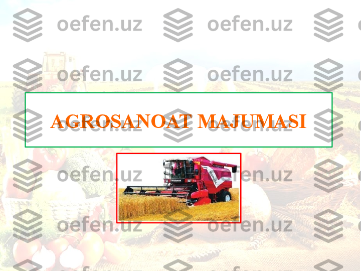 AGROSANOAT MAJUMASI 