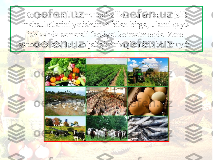 К o‘p t а rm о qli f е rm е r  х o‘j а likl а ri qishl о q  х o‘j а lik 
m а hsul о tl а rini y е tishtirish bil а n birg а,  ul а rni q а yt а 
ishl а shd а  s а m а r а li f ао liyat ko‘rs а tm о qd а.  Z е r о, 
s а n оа tsiz qishl о q  х o‘j а ligini riv о jl а ntirib bo‘lm а ydi.  