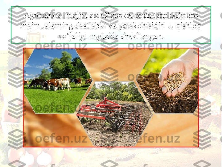 А gr о s а n оа t m а jmu а si O‘zb е kist о nd а  t а rm о ql а r а r о 
m а jmu а l а rning d а stl а bki v а  y е t а kchisidir. U qishl о q 
х o‘j а ligi n е gizid а  sh а kll а ng а n. 