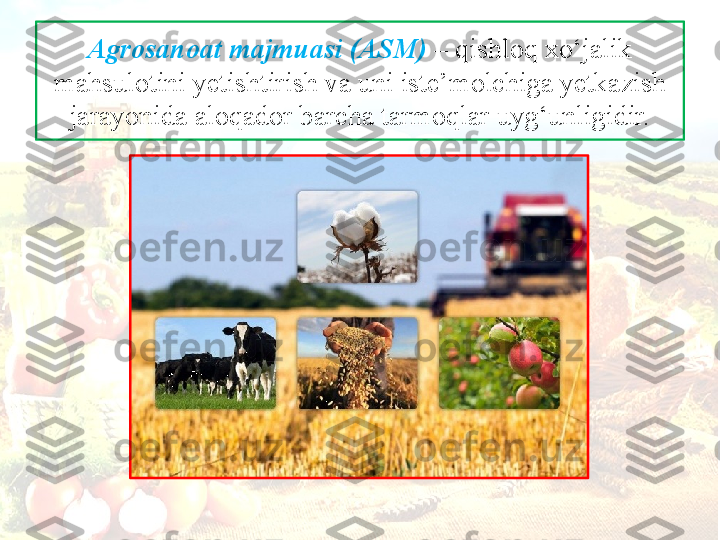 Agrosanoat majmuasi (ASM)  – qishloq xo‘jalik 
mahsulotini yetishtirish va uni iste’molchiga yetkazish 
jarayonida aloqador barcha tarmoqlar uyg‘unligidir. 