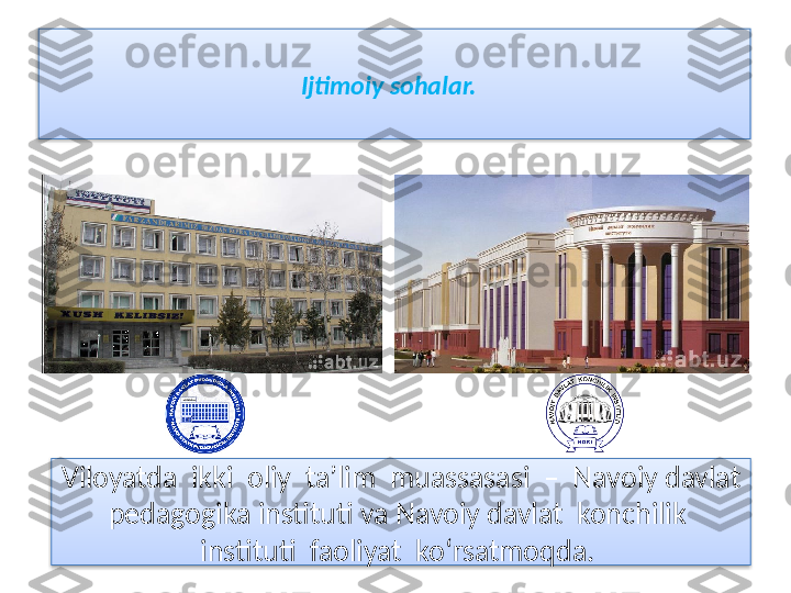 Ijtimoiy sohalar.  
Viloyatda  ikki  oliy  ta’lim  muassasasi  –  Navoiy davlat 
pedagogika instituti va Navoiy davlat  konchilik  
instituti  faoliyat  ko‘rsatmoqda.    