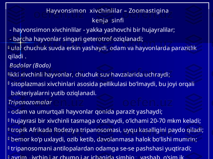   Hay v onsimon  xiv chinlilar – Zoomast i gina 
   k enja  si nfi  
  - h ayvonsimon   xivchinlilar - yakka yashovchi bir hujayralilar ;  
  -  barcha hayvonlar singari geterotrof oziqlanadi ;  
-
  ular  chuchuk suvda erkin  yashaydi,  odam va hayvonlar da  parazitlik 
qiladi   .
  Bodolar ( Bodo)  
-
ikki xivchinli hayvonlar ,   c huchuk suv havzalarida uchraydi ;  
-
  s itoplazmasi xivchinlari asosida pellikulasi bo‘lmaydi , b u joy i  orqali 
   bakteriyalarni yutib oziqlanadi.
Tripanozomalar  
-  o dam va umurtqali hayvonlar qonida parazit yashaydi ; 
-
  h ujayrasi bir xivchinli tasmaga o‘xshaydi ,  o‘lchami 20-70 mkm keladi ;  
-
  tropik Afrika da  Rodeziya tripanosomasi, uyqu kasalligini paydo qiladi ;  
-
  b emor ko‘p uxlaydi ,  ozib ket ib,  davolanma sa  halok bo‘l ishi mumrin;
-
  t ripanosoma ni  antilopalarda n  odamga se-se pashshasi yuqtiradi ;
-
  a yrim xivchinlilar chumolilar ichagida simbioz  yasha b,  o‘simlik 
   sellyulozasini hazm qilish d a  chumolilarga  yordam beradi. 