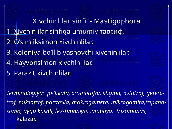 X iv chinlilar sinfi   - Mast igophora
1. Xivchinlilar sinfiga umumiy  тавсиф .
2.  O’simliksimon xivchinlilar.
3.  Koloni y a  bo’llib yashovchi  xivchinlilar.
4. Hayvonsimon xivchinlilar.
5. Parazit xivchinlilar.
Terminologiya:   p ellikula, xromotofor,  stigma,   avtotrof,   getero -
trof, miksotrof,  paramila, makrogameta, mikrogamita,tripano- 
soma, uyqu kasali, leyshmaniya, lambliya,  trixomonas ,  
kalazar. 