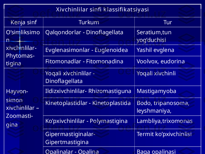 X iv chinl ilar sinfi  k l assifi k at si y asi
Kenja sinf Turkum Tur
O’simliksimo
n 
xivchinlilar- 
Phytomas -
tigina Qalqondorlar - Dinoflagellata Seratium,tun 
yog’duchisi
Evglenasimonlar - Euglenoidea  Yashil evglena
Fitomonadlar - Fitomonadina Voolvox, eudorina
Hayvon -
simon 
xivchinlilar – 
Zoomasti -
gina Yoqali xivchinlilar - 
Dinoflagellata    Yoqali xivchinli
Ildizxivchinlilar- Rhizomastiguna  Mastigamyoba
Kinetoplastidlar - Kinetoplastida Bodo, tripanosoma, 
leyshmaniya, 
Ko’pxivchinlilar - Polymastigina Lambliya,trixomonas
Gipermastiginalar- 
Gipertmastigina Termit ko’pxivchinlisi
Opalinalar - Opalina Baqa opalinasi 