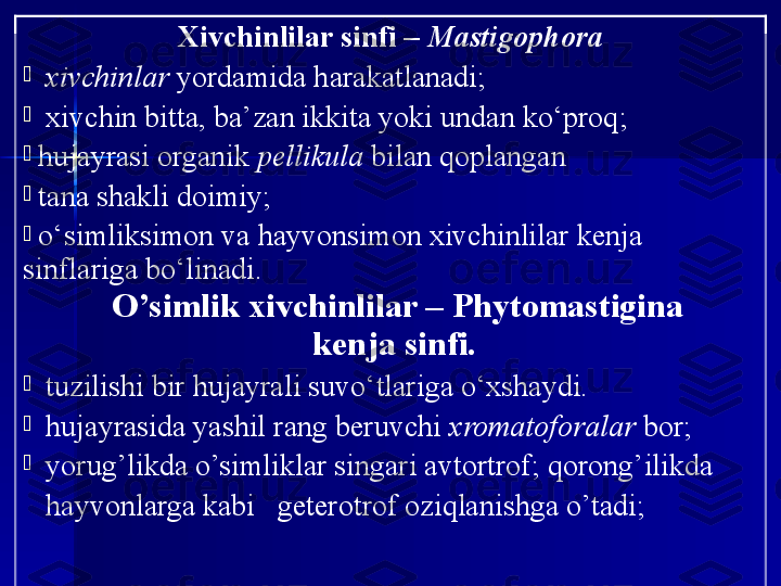 Xivchinlilar  sinfi   –  Mastigophora
-
   xivchinlar  yordamida harakatlanadi ;
-
    xivchin bitta, ba’zan ikkita yoki undan ko‘proq ;
-
  hujayrasi organik  pellikula  bilan  q o plangan  
-
  tana shakli doimiy ;  
-
  o‘simliksimon va hayvonsimon xivchinlilar kenja 
sinflariga bo‘linadi.
   O’simlik xivchinlilar – Phytomastigina
  kenja sinfi.
-
   tuzilishi bir hujayrali suvo‘tlariga o‘xshaydi.
-
   h ujayrasida yashil rang beruvchi  xromatoforalar  bo r;
-
   yorug’likda o’simliklar singari avtortrof;  qorong’ilikda
    hayvonlarga kabi   geterotrof  oziqlanishga o’tadi; 