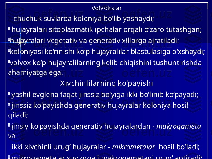 Volv ok s lar
  - сhuchuk suvlarda koloniya bo‘lib yash aydi;  
-
  hujayralari  sitoplazmatik ipchalar orqali  o’zaro   tutashgan;
-
h ujayralar i  vegetativ  va  generativ  xillarga ajratil adi ;
-
koloniya si  ko‘rinishi ko‘p hujayralilar blastula siga  o‘xshaydi ;  
-
volvox   ko’p  hujayralilarning kelib chiqishi ni  t ushuntiri shda  
ahamiyatga ega.
X iv chinlilarning k o‘pay ishi
-
  y ashil evglena faqat jinssiz bo‘yiga ikki bo‘linib ko‘payadi ;
-
  jinssiz ko‘pay ish da generativ hujayralar koloniya hosil 
qiladi ;
-
  j insiy ko‘payishda generativ  hujayralardan  -   makrogameta  
va
    ikki xivchinli urug‘ hujayralar  -   mikrometalar     hosil  bo’ ladi ;
-
  m ikrogametalar suv orqali makrogametani urug‘lantiradi ;
-
  z igota qishla b , b ahorda yangi volvoks koloniyasi hosil 
qi ladi . 