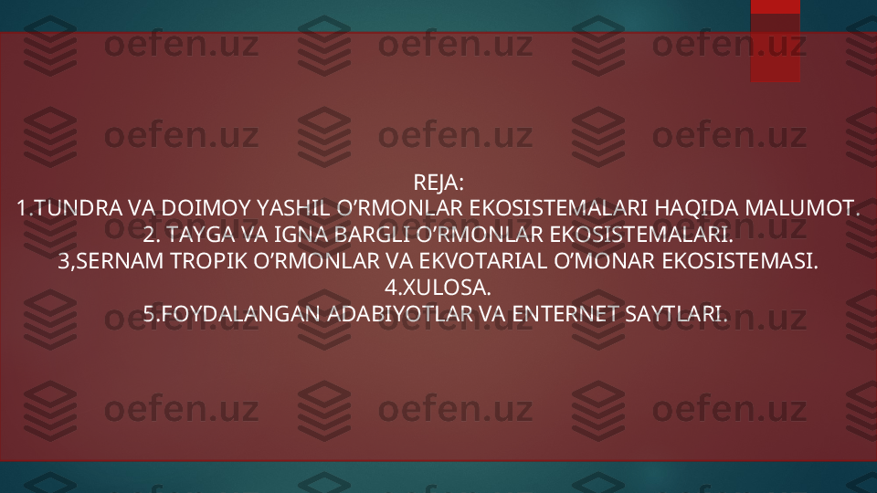 REJA:
1.TUNDRA VA DOIMOY YASHIL O’RMONLAR EKOSISTEMALARI HAQIDA MALUMOT.
2. TAYGA VA IGNA BARGLI O’RMONLAR EKOSISTEMALARI.
3,SERNAM TROPIK O’RMONLAR VA EKVOTARIAL O’MONAR EKOSISTEMASI.
4.XULOSA.
5.FOYDALANGAN ADABIYOTLAR VA ENTERNET SAYTLARI.   