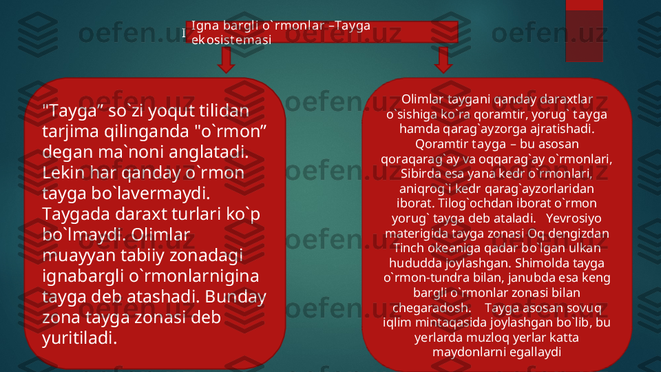 Igna bargli  o` rmonlar –Tay ga ek osi st emasi
"Tayga” so`zi yoqut tilidan 
tarjima qilinganda "o`rmon” 
degan ma`noni anglatadi. 
Lekin har qanday o`rmon 
tayga bo`lavermaydi. 
Taygada daraxt turlari ko`p 
bo`lmaydi.  Olimlar 
muayyan tabiiy zonadagi 
ignabargli o`rmonlarnigina 
tayga deb atashadi.  Bunday 
zona tayga zonasi deb 
yuritiladi.  Olimlar taygani qanday daraxtlar 
o`sishiga ko`ra qoramtir, yorug`  t ay ga  
hamda qarag`ayzorga ajratishadi. 
Qoramtir  t ay ga  – bu asosan 
qoraqarag`ay va oqqarag`ay o`rmonlari, 
Sibirda esa yana kedr o`rmonlari, 
aniqrog`i kedr qarag`ayzorlaridan 
iborat. Tilog`ochdan iborat o`rmon 
yorug` tayga deb ataladi.   Yevrosiyo 
materigida tayga zonasi Oq dengizdan 
Tinch okeaniga qadar bo`lgan ulkan 
hududda joylashgan.  Shimolda tayga 
o`rmon-tundra bilan, janubda esa keng 
bargli o`rmonlar zonasi bilan 
chegaradosh.    Tayga asosan sovuq 
iqlim mintaqasida joylashgan bo`lib, bu 
yerlarda muzloq yerlar katta 
maydonlarni egallaydiIgna bargli  o` rmonlar –Tay ga 
ek osist emasi  