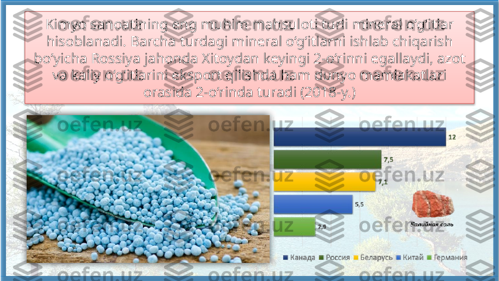 Kimyo sanoatining eng muhim mahsuloti turli mineral o‘g‘itlar 
hisoblanadi. Barcha turdagi mineral o‘g‘itlarni ishlab chiqarish 
bo‘yicha Rossiya jahonda Xitoydan keyingi 2-o‘rinni egallaydi, azot 
va kaliy o‘g‘itlarini eksport qilishda ham dunyo mamlakatlari 
orasida 2-o‘rinda turadi (2018-y.)    