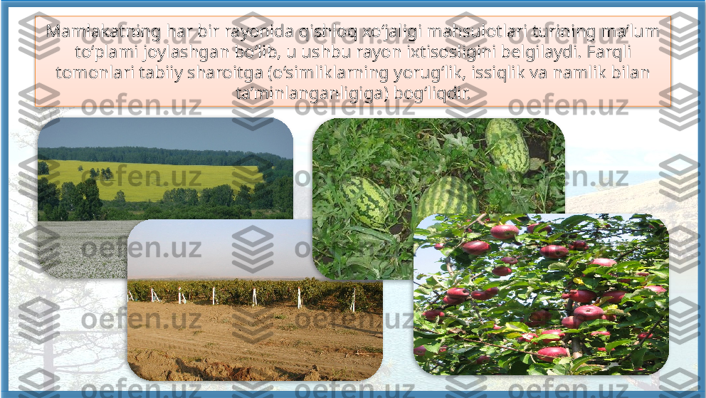 Mamlakatning har bir rayonida qishloq xo‘jaligi mahsulotlari turining ma’lum 
to‘plami joylashgan bo‘lib, u ushbu rayon ixtisosligini belgilaydi. Farqli 
tomonlari tabiiy sharoitga (o‘simliklarning yorug‘lik, issiqlik va namlik bilan 
ta’minlanganligiga) bog‘liqdir.       